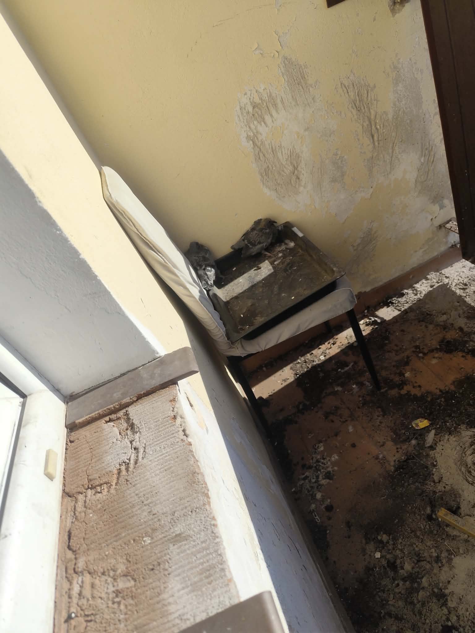 Kompleksowe opróżnienie mieszkania po poprzednim lokatorze. — po wykonaniu zlecenia, zdjęcie 6