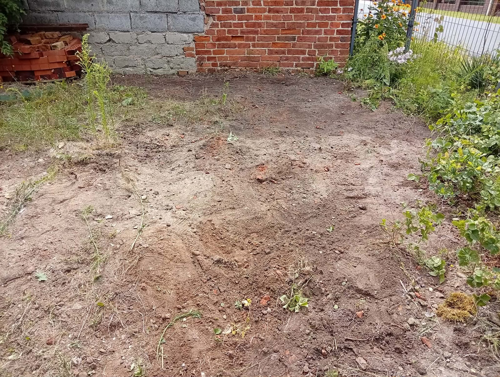 Usunięcie zalegającego gruzu i innych rzeczy z terenu. — po wykonaniu zlecenia, zdjęcie 3
